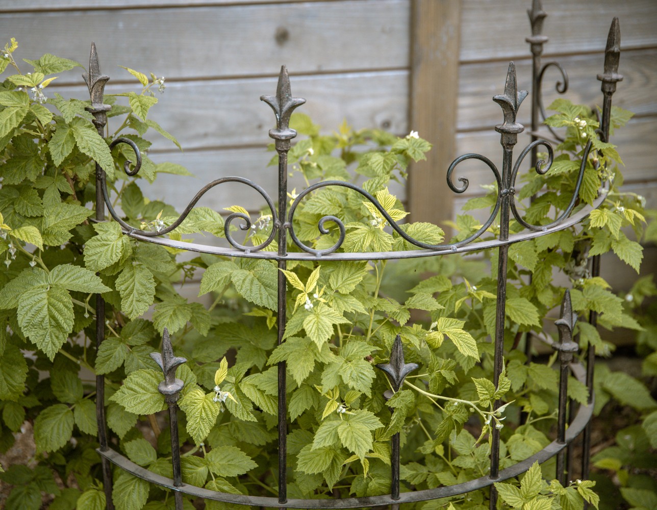 Ozdobná mreža, polkruh