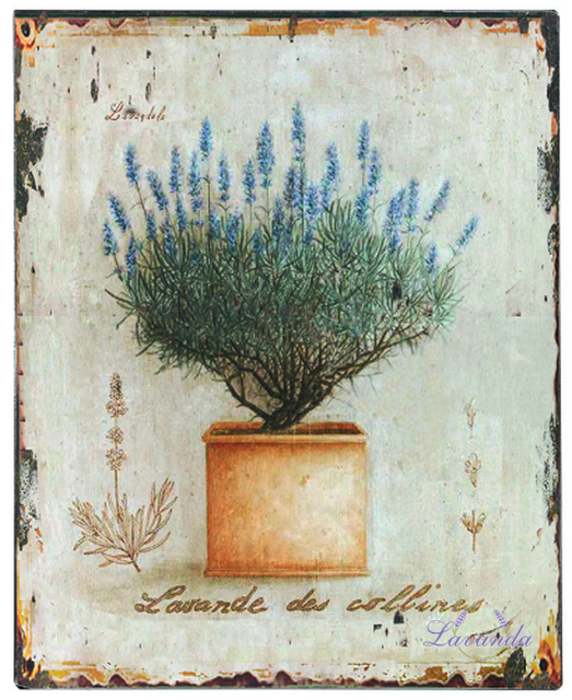 Kovová tabuľka Herbes de Provence - Levandula