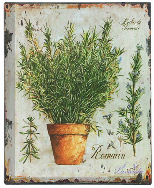 Kovová tabuľka Herbes de Provence - Rozmarín