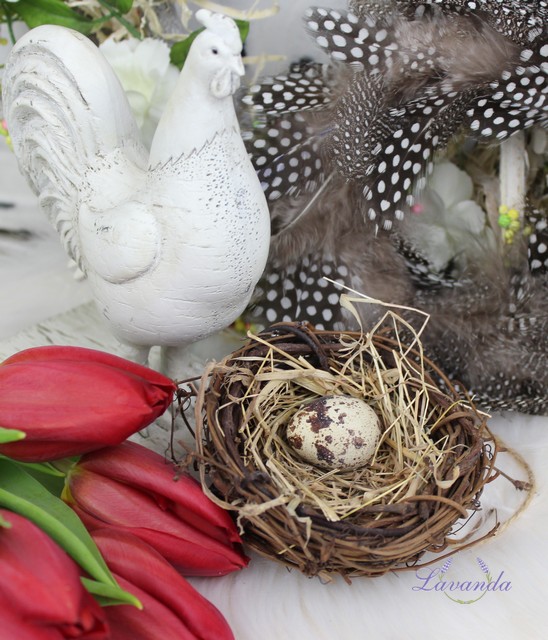 Hniezdo Nature s prepeličím vajíčkom