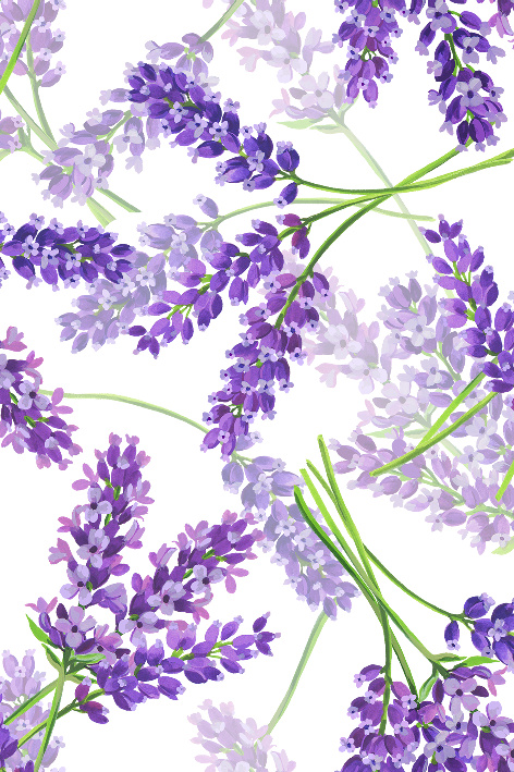 Látka Lavender Dream