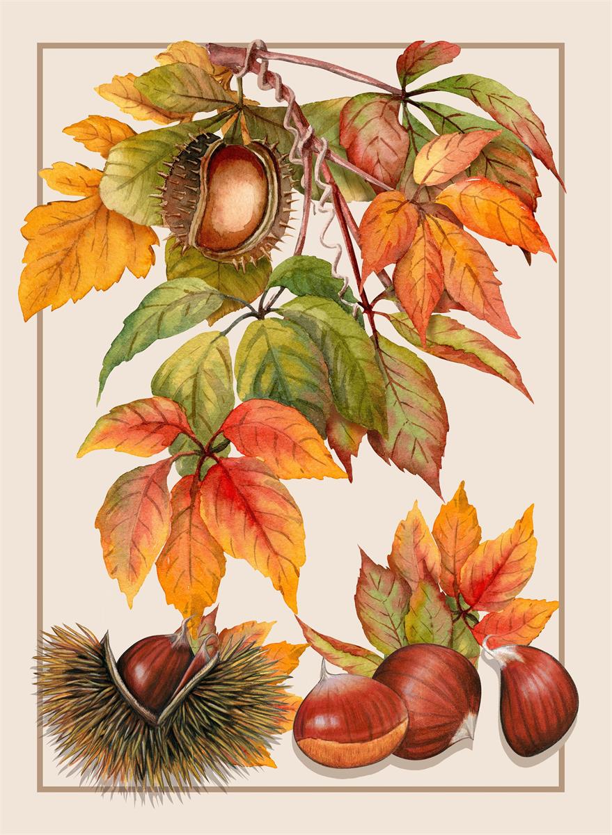 Bavlnená kuchynská utierka Gaštany