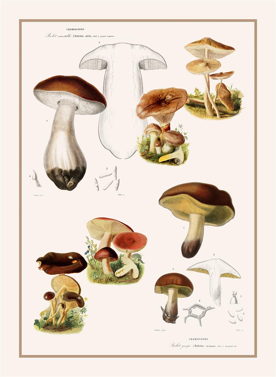 Bavlnená kuchynská utierka Huby, vzor 1