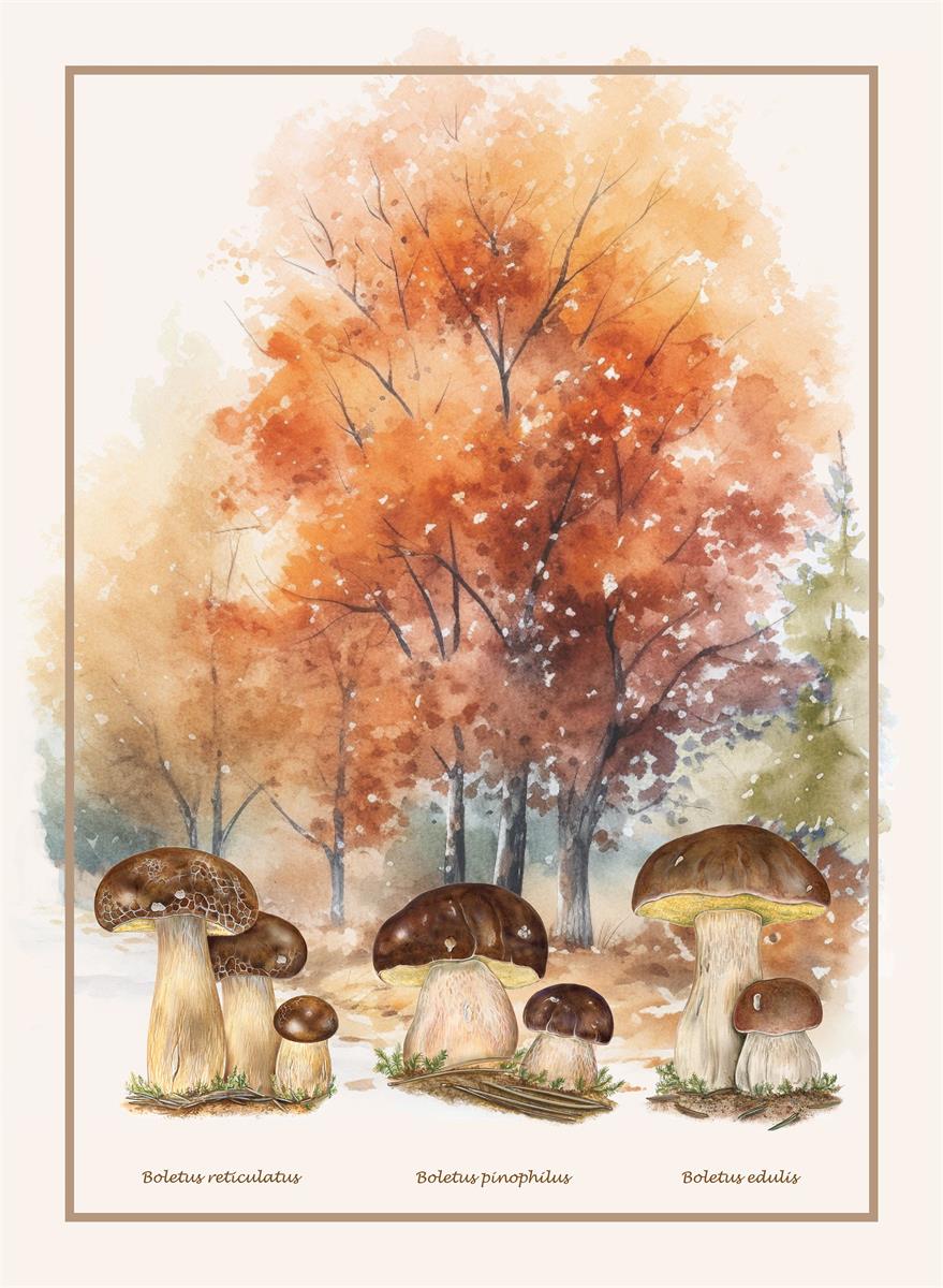 Bavlnená kuchynská utierka Huby, vzor 2