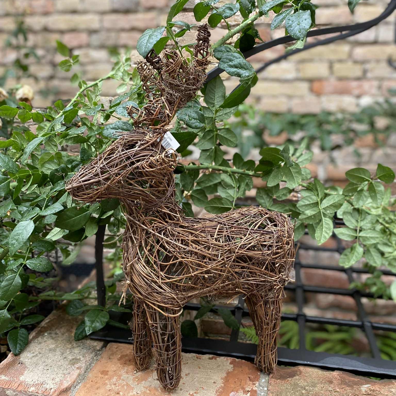 Prútený jeleň , 50cm