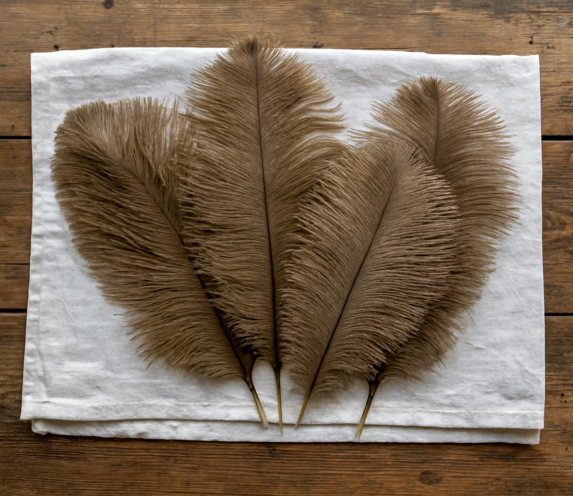 Hnedé dekoračné pierka, 5 ks