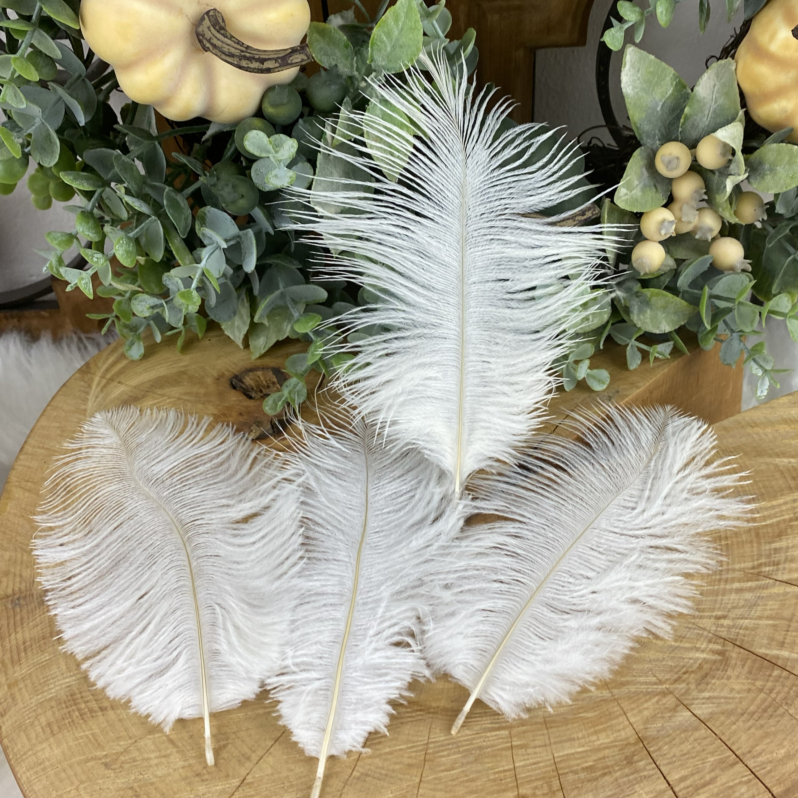 Smotanové dekoračné pierka, 5 ks